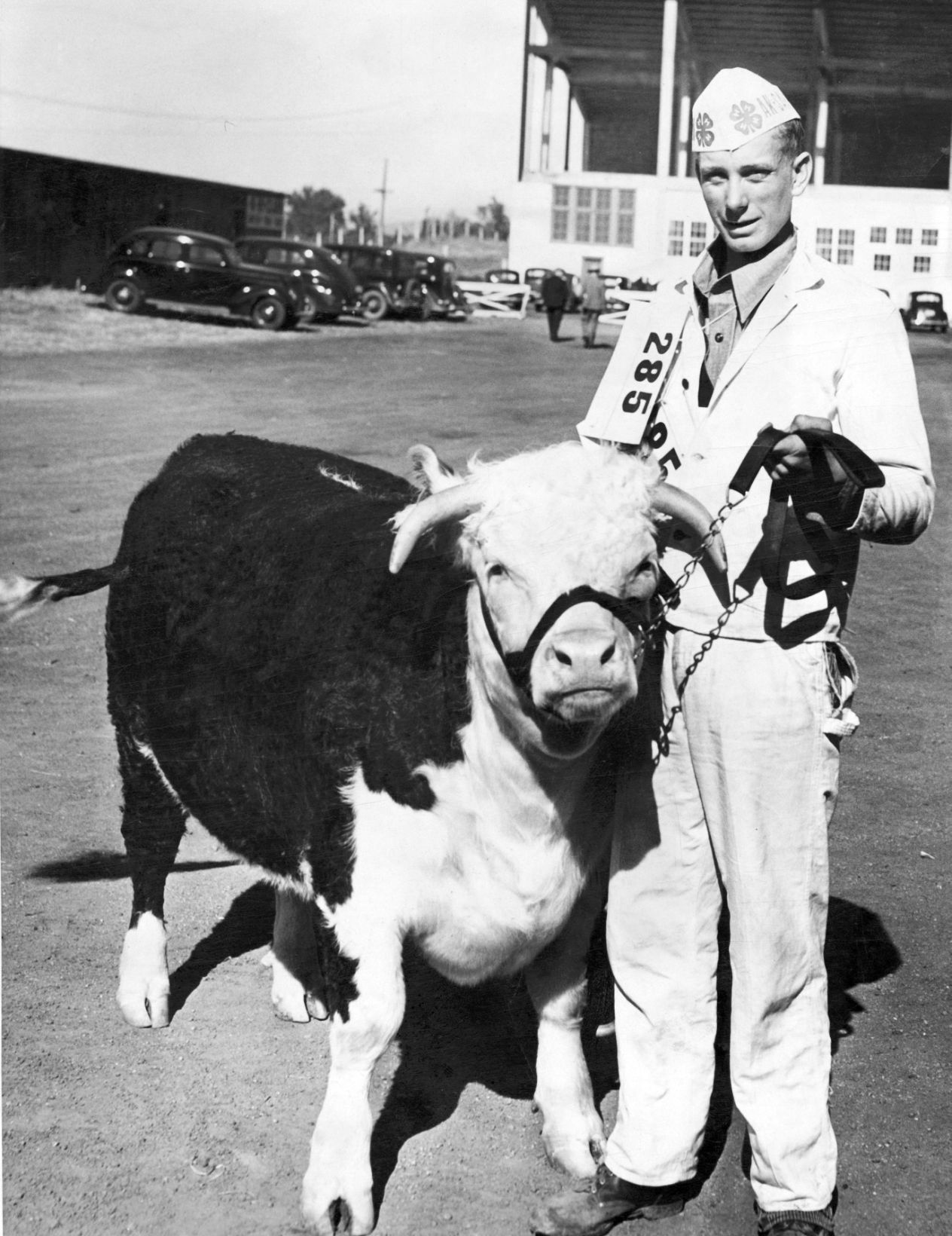 1938 champ